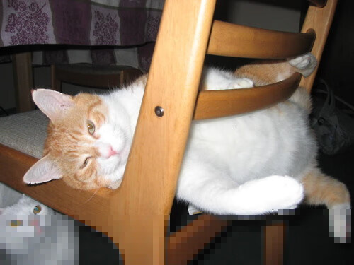 当体育改写历史，同一天，橄榄球与F1如何见证不可能