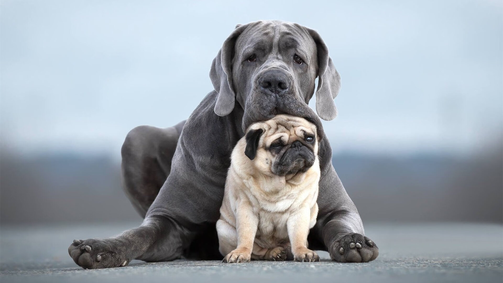 浴火与破冰，热火的终章艺术与克莱的无声宣言