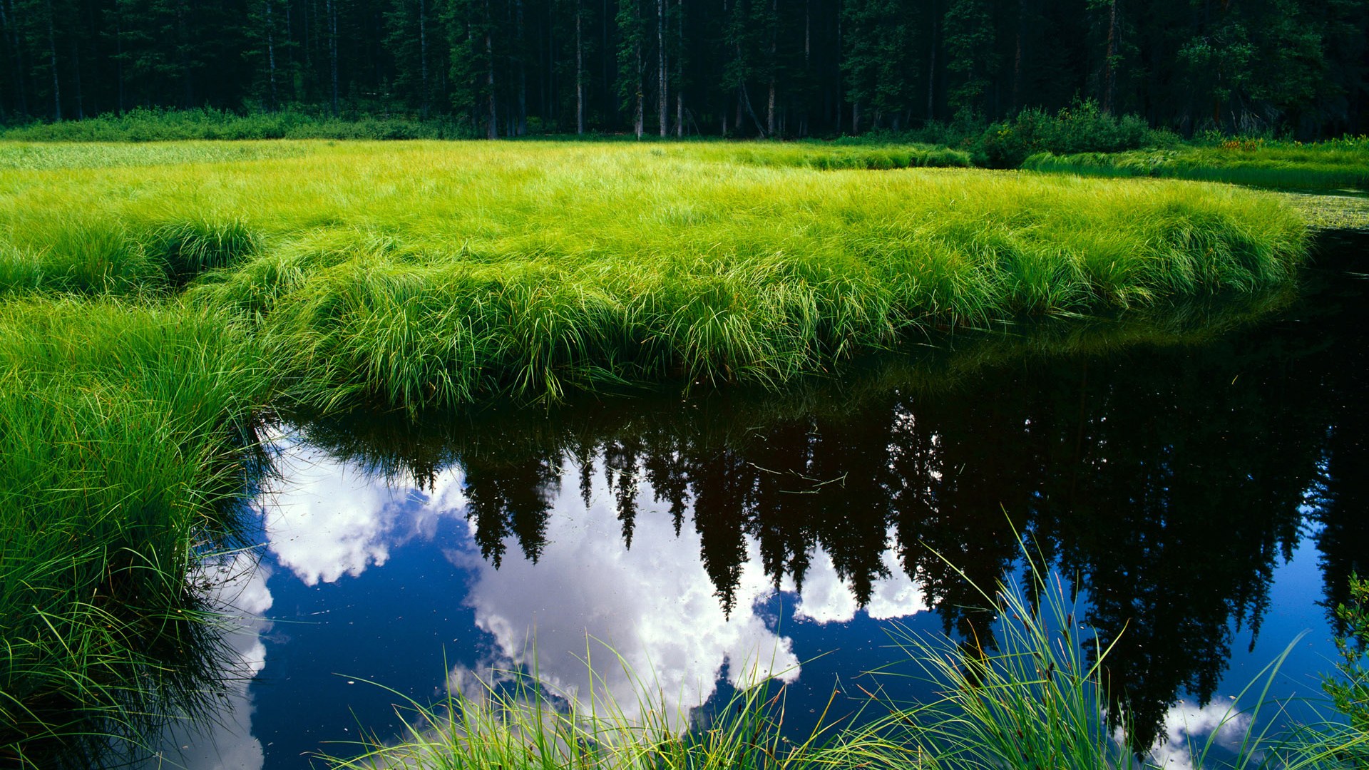 开云体育app-孤独的星辰，解析C罗在欧冠淘汰赛之夜的不可替代性