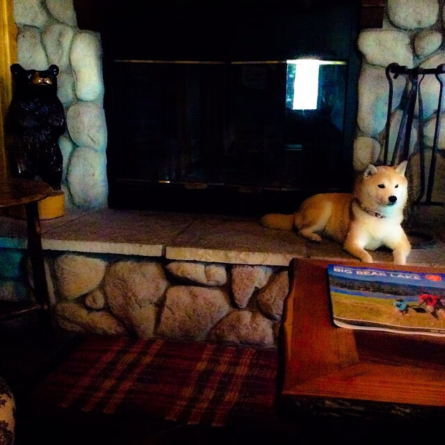 沙漠赛道,英格拉姆的方向盘上,镌刻着丹佛高原的雪