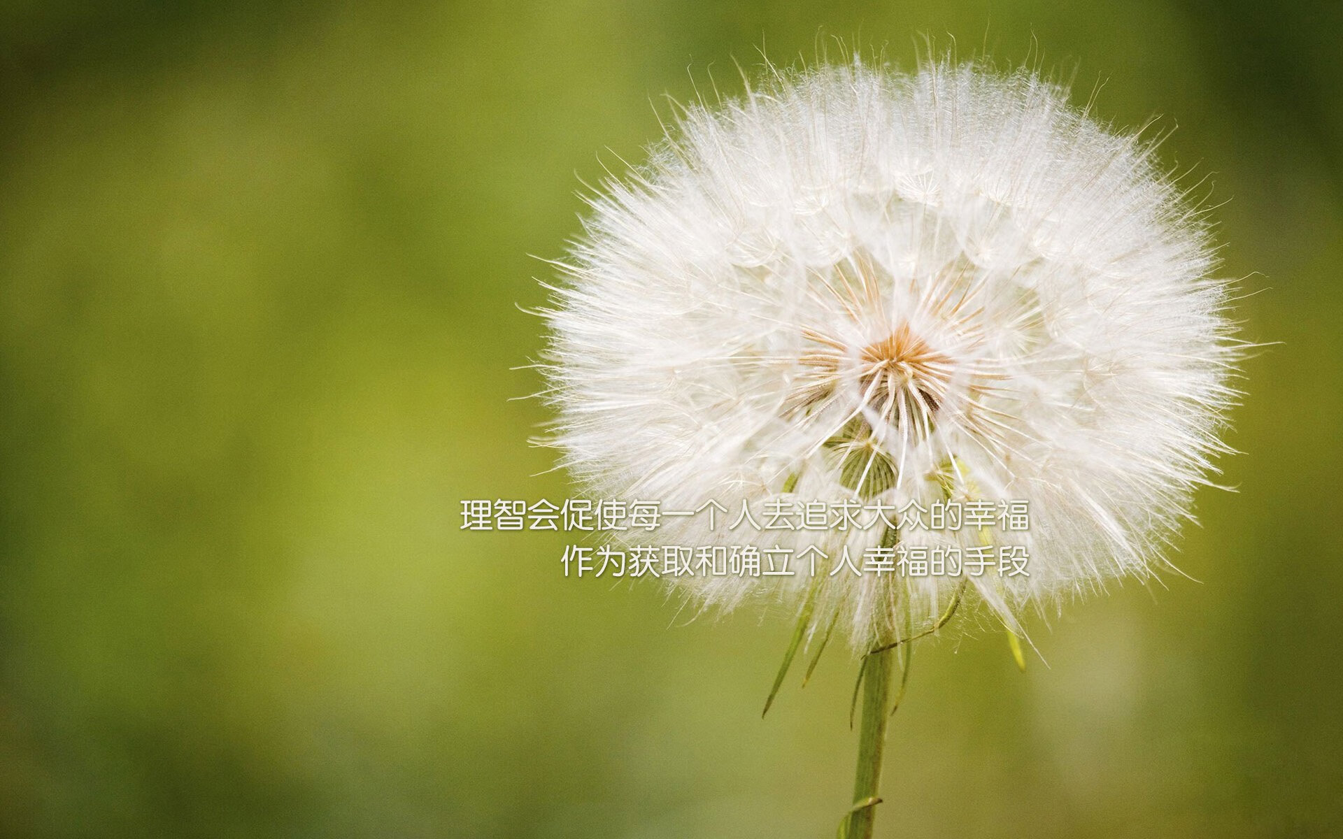 浓眉摧毁鹈鹕内线如魔术幻术，攻防教科书式表演定义现代篮球