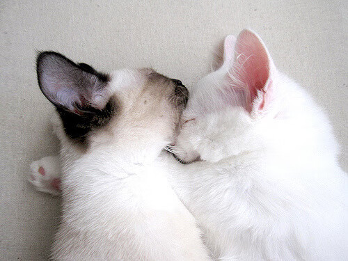 铁血围城，无双破阵—新疆窒息防守下的伦纳德破局启示录