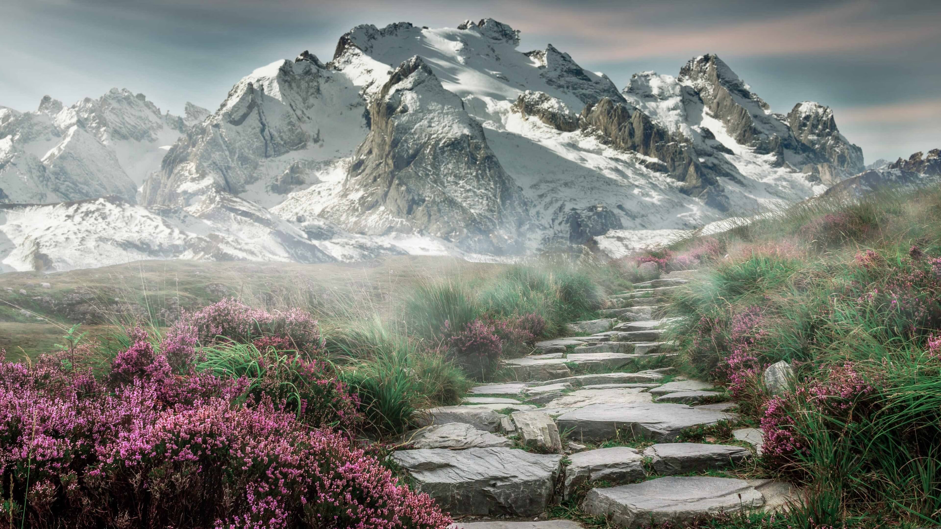 当篮球巨星照亮绿茵场,欧冠半决赛之夜的另类主宰者