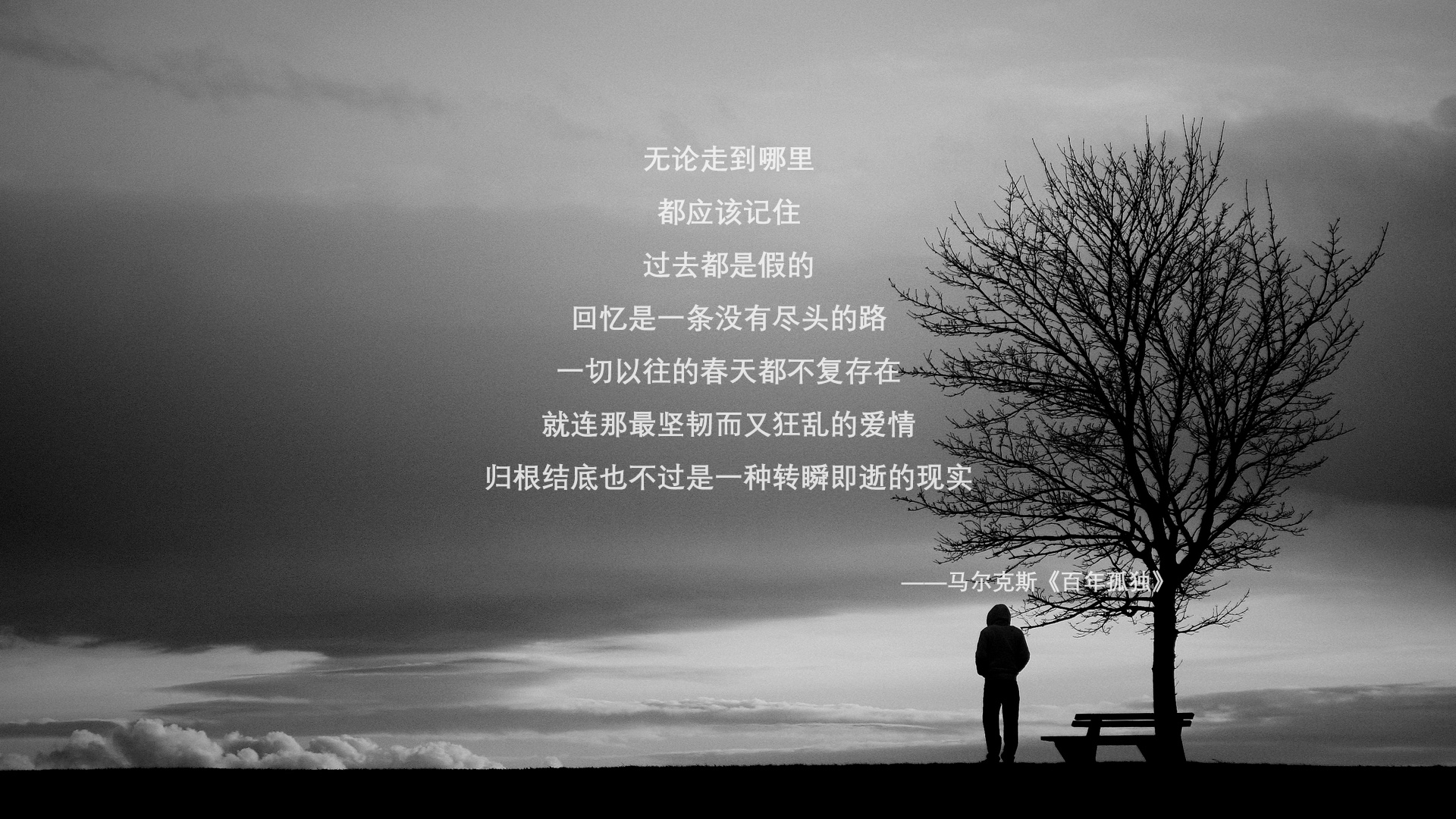变革与坚守,赛道上的风驰电掣与战场上的寸土必争