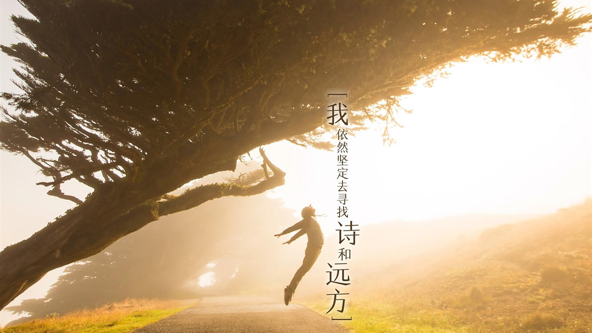 双线传奇，勇士末节主宰掘金，保罗F1争冠赛点接管