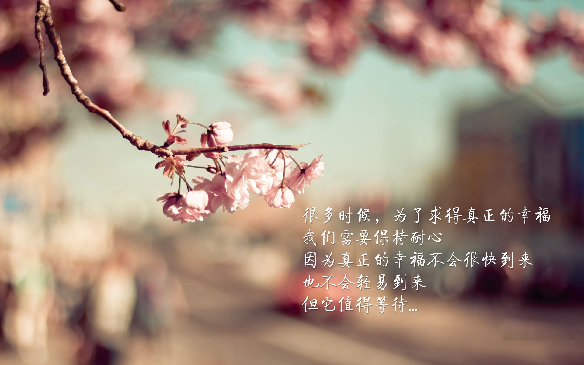 唯一的例外,当佩德里在2026年D组世纪对决中,用足球的纯粹,缝合了东亚的裂痕