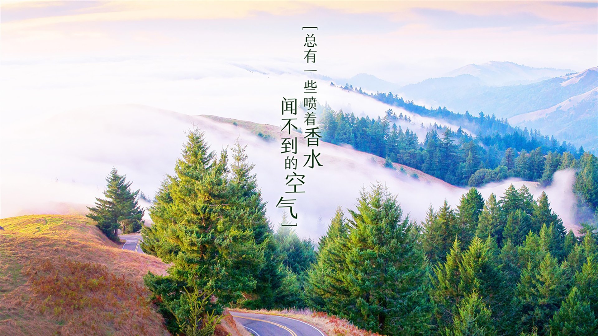 很有画面感。为了写出唯一性,我们可以选择一个独特的叙事视角,不落俗套。比如,不从德国英雄的视角写,而是从厄瓜多尔被击败的一方,甚至是从失败者内心的震撼与醒悟来写